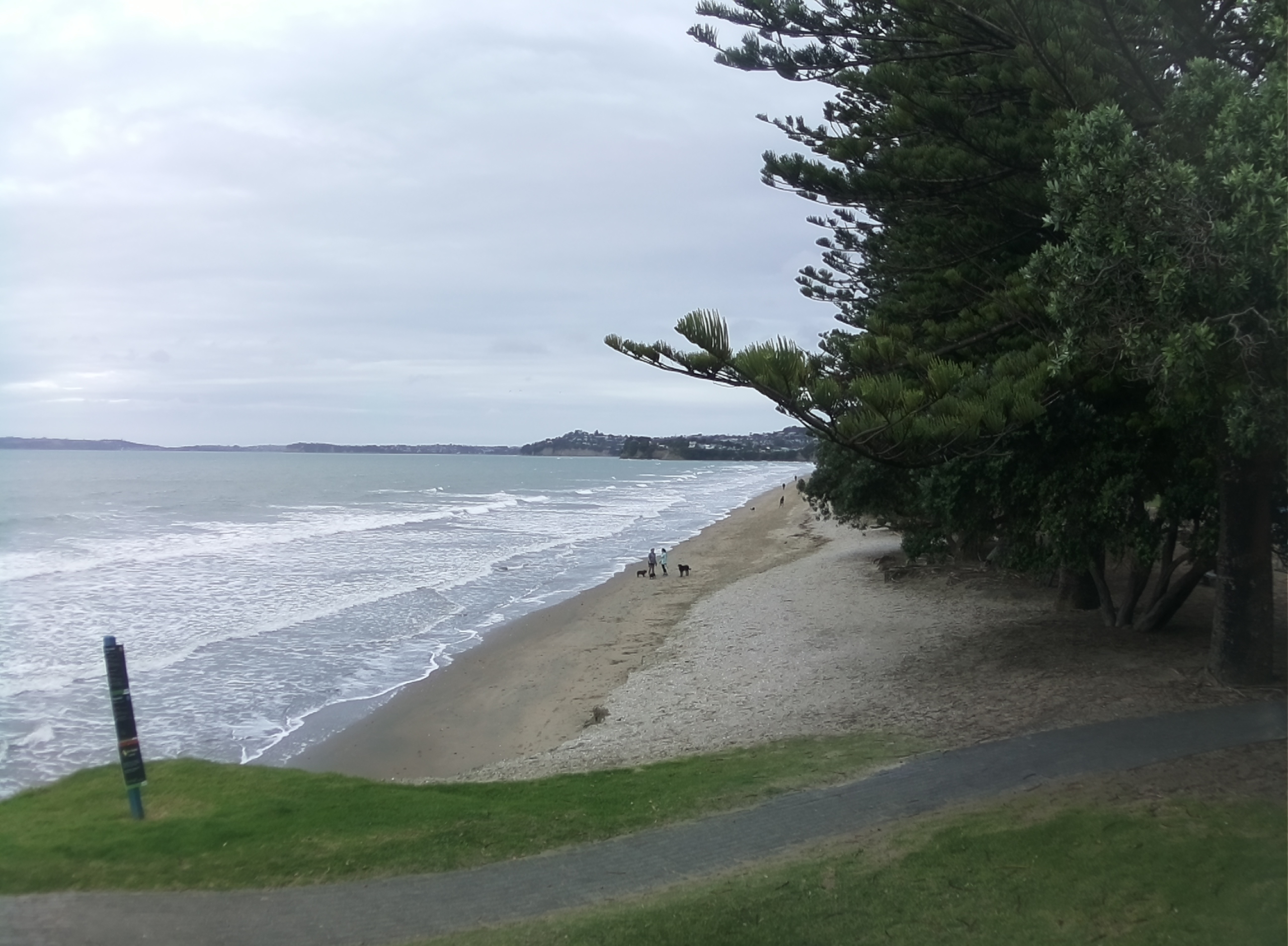 Oblique camera view from Orewa Beach showing the raw perspective captured by the Obscape camera