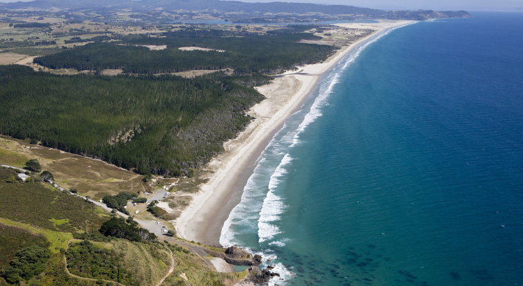 Te Arai Regional Park, Auckland, New Zealand. Source: Auckland Council.